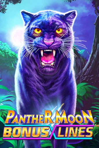 Panther Moon: Bonus Lines™ от  демо версия | VAVADA без регистрации