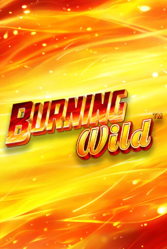 Burning Wild от  демо версия | VAVADA без регистрации