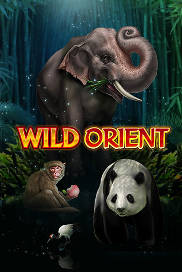 Wild Orient от  демо версия | VAVADA без регистрации